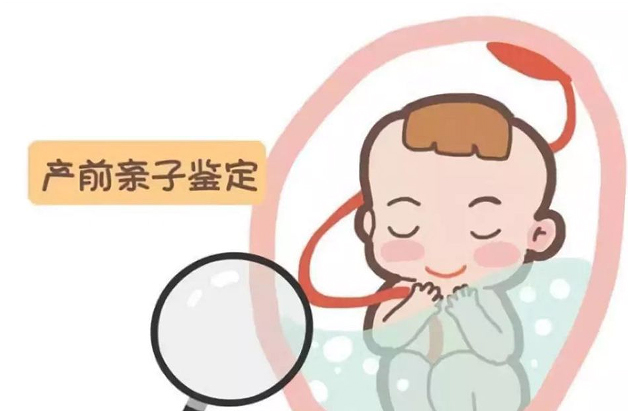 吉林省怀孕几个月要如何办理孕期亲子鉴定,吉林省办理无创产前亲子鉴定收费明细